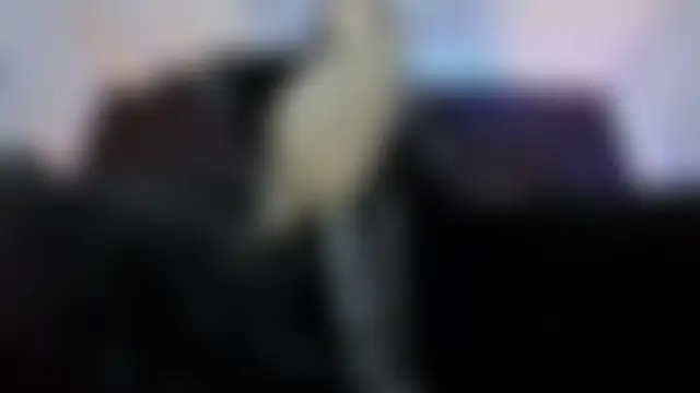 Chat XXX en directo de _Jade_16