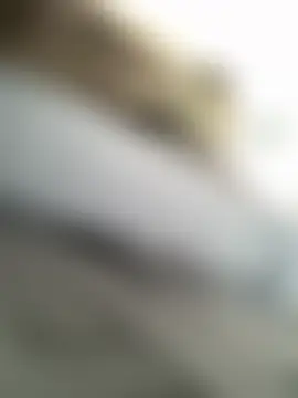 Wet__Bunny's Live Chat Room