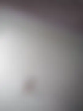 Xelenaxcbbs Live Chatrum