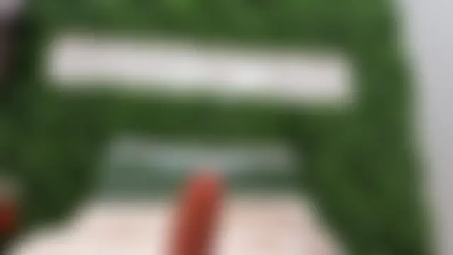 realhotfallingdevil 실시간 채팅방