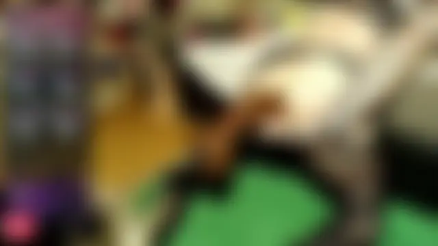 dirty_anal_lisa 网络视讯表演