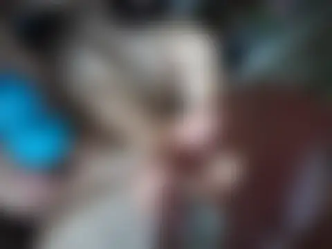 Hawkward69's Webcam Show