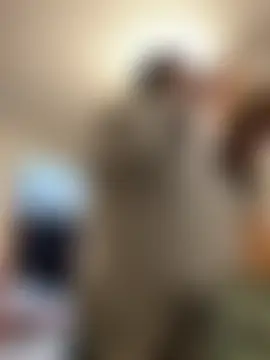 Онлайн чат Eva_MilfF