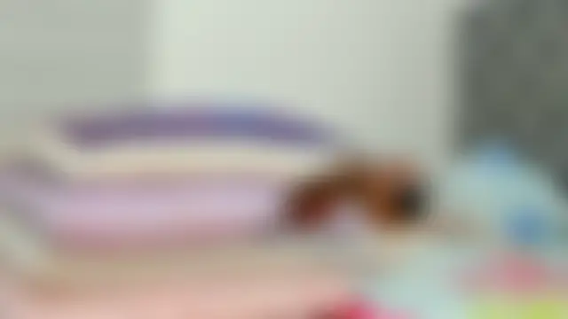 Elizabeth_18_ 现场聊天室