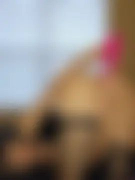 Živá chatovací místnost AmethystFoxx