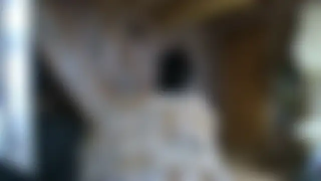 חדר צ'אט בשידור חי של karina_ren_