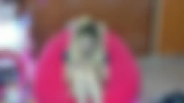 Skinygirln Live chat-huone