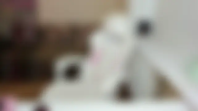 LittleCandy18 现场聊天室