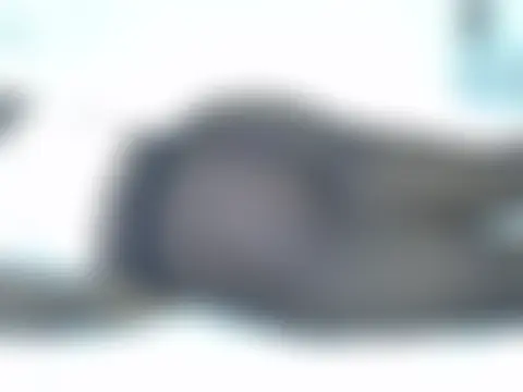Twerl Chat XXX live