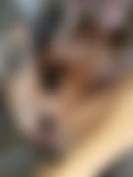 Lovers__Annn – Naživo chatovacia miestnosť
