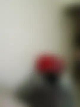 Chatroom en direct de ROXOLANAA_SEXY