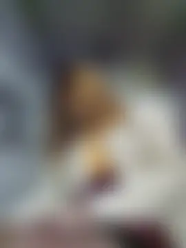 LybovNTV লাইভ চ্যাট রুম