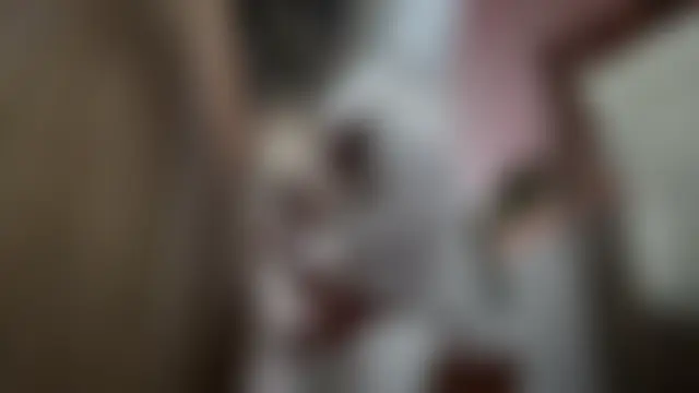 dnonirose's Webcam Show