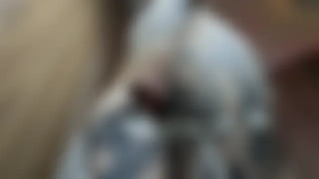 dnonirose Show in webcam