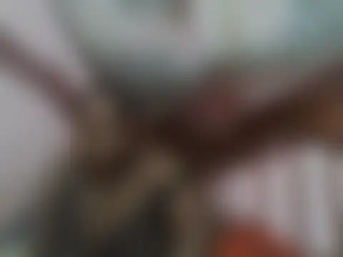 big_clits লাইভ চ্যাট রুম