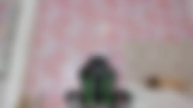 aida_rose_ 现场聊天室