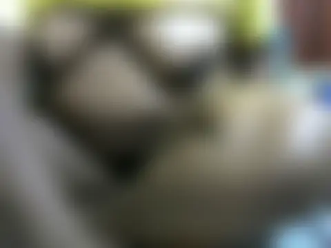 Sala de chat ao vivo de ebonyzoey