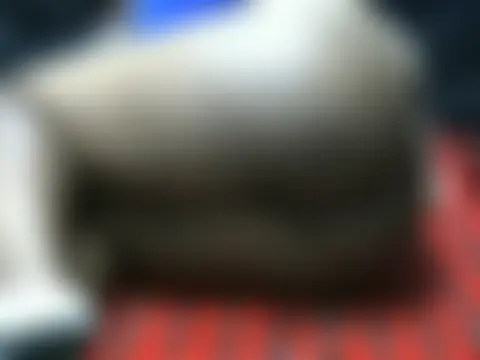 ebonyzoey Live XXX-Chat