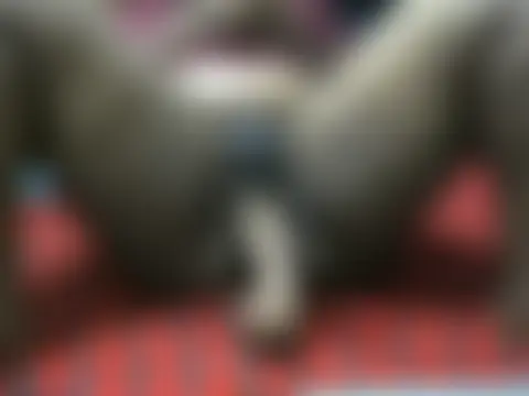 ebonyzoey 即時 XXX 聊天