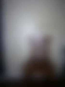 Pimpcessbae élő chatszobája