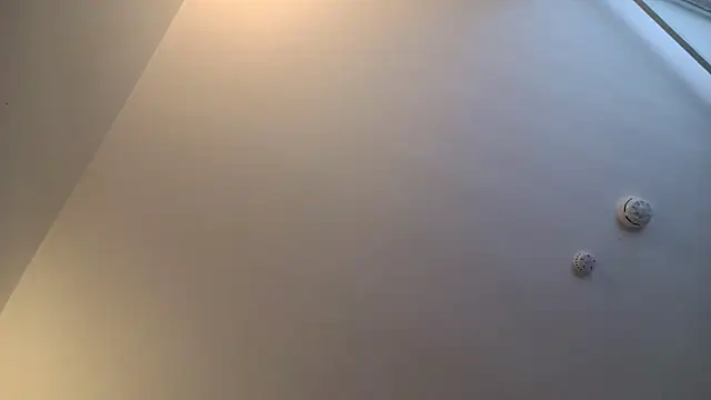 uk-bobbie-uk's Webcam Show