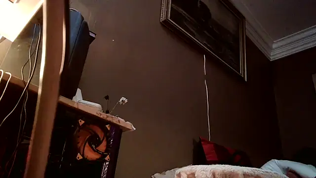 SilverandFox Webcam-Show