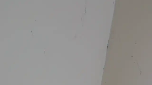 Pervert_HardSex's Webcam Show