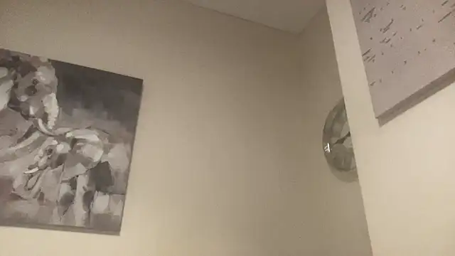 dingdongdz's Webcam Show