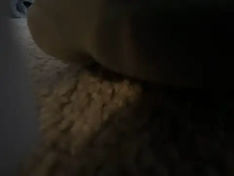 texasgoodboy's Webcam Show
