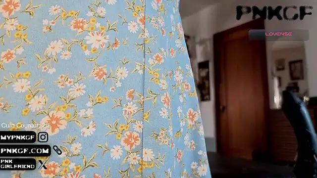 pnkgf's Webcam Show