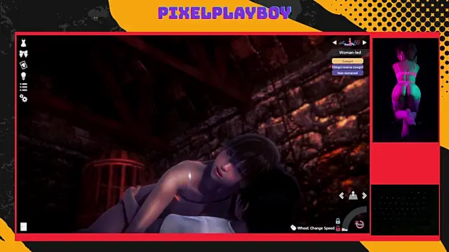 PixelPlayboy's Webcam Show