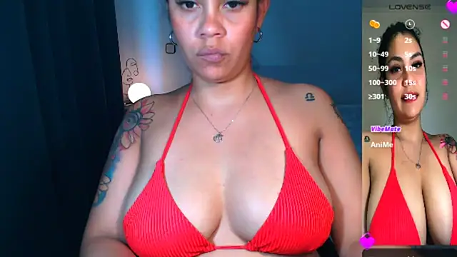 CarolSkinny's Webcam Show