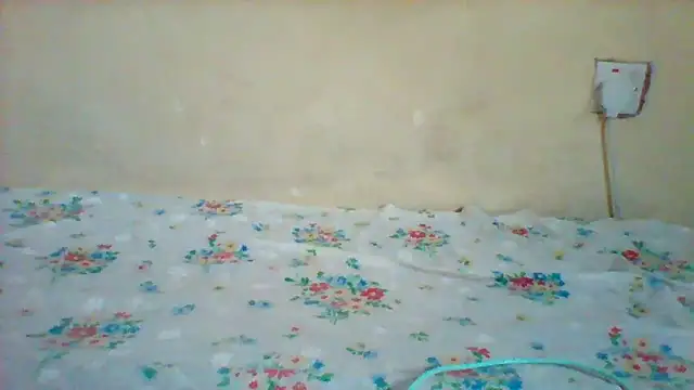 bignipple254 Webcam-Show