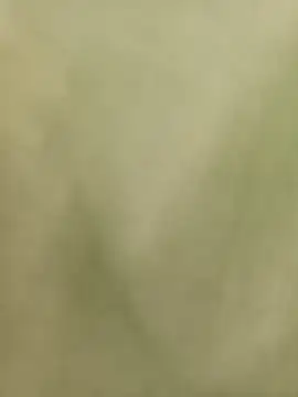 Paula_Alameda's Live Sex Cam Show