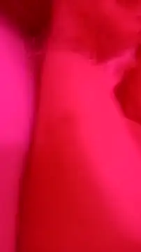 Show webcam de JohannasMishael