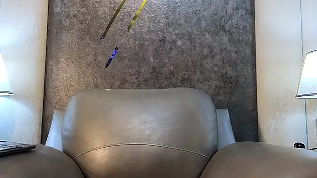 FreyrVik's Webcam Show