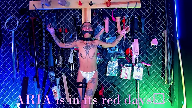 Warick_and_Aria_bdsm_'s Webcam Show