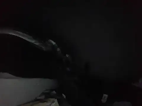 willbustforu's Live Sex Cam Show