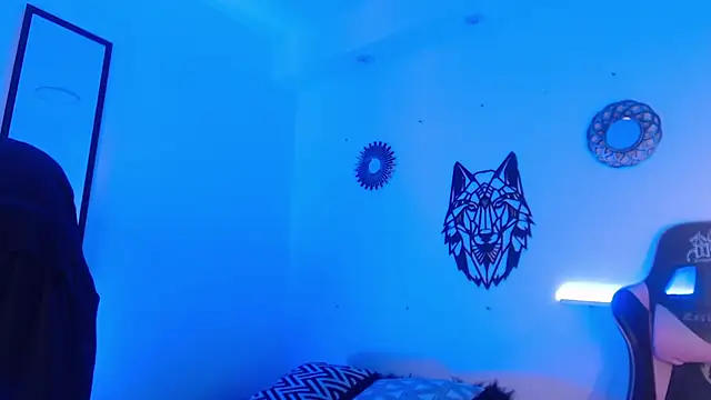 Anhonymus' Webcam Show