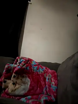 kimmiakiss22's Webcam Show