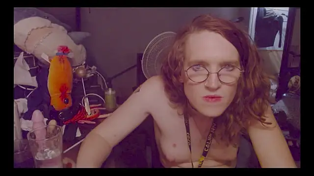 Rewpert's Webcam Show