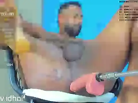 Show webcam de hole_davidd