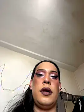Privatesilvio's Webcam Show