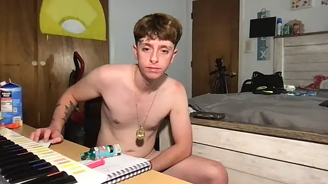 twentywithafelonyy's Webcam Show