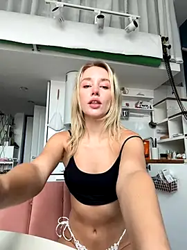SSSATIVA_model webcam show