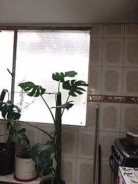Soul_Catleya Webcam show