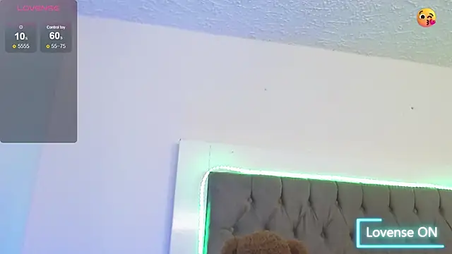 Rihanna_Flex Webcam-Show