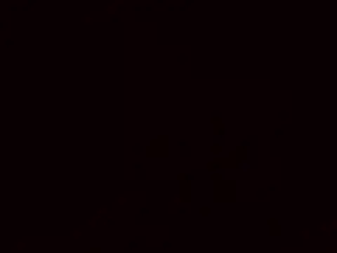 AvaLloyd's Webcam Show