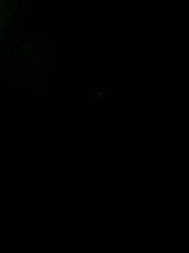 SINCEREdick12's Webcam Show