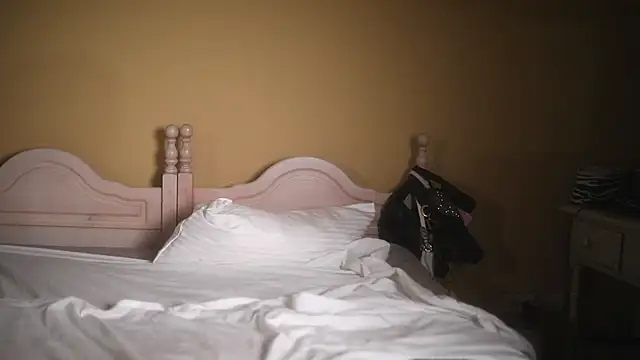 suzysuza's Webcam Show